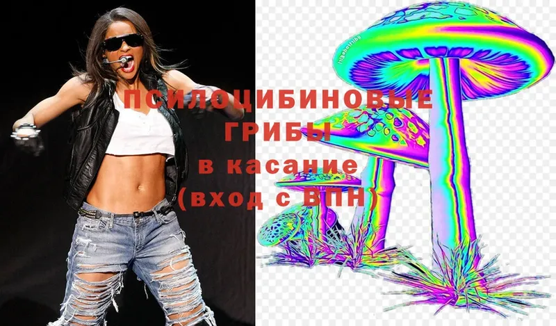 Галлюциногенные грибы Magic Shrooms Кодинск